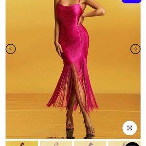 Elegant Pink Fringe Dress